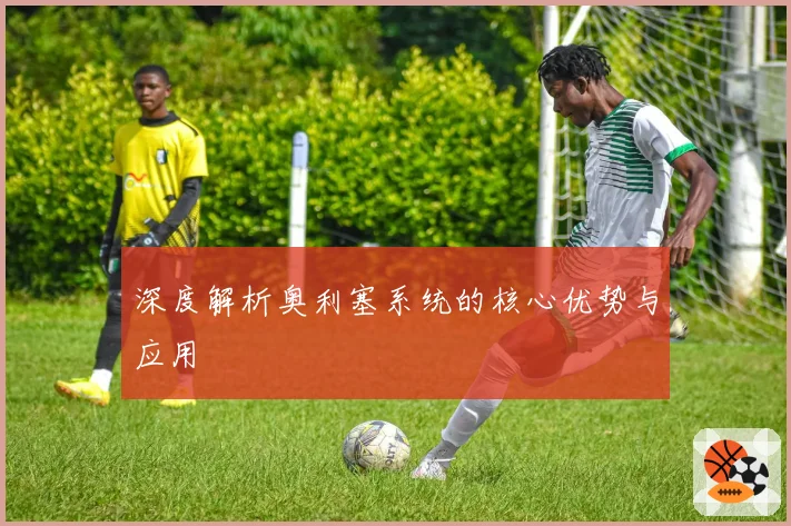 深度解析奥利塞系统的核心优势与应用