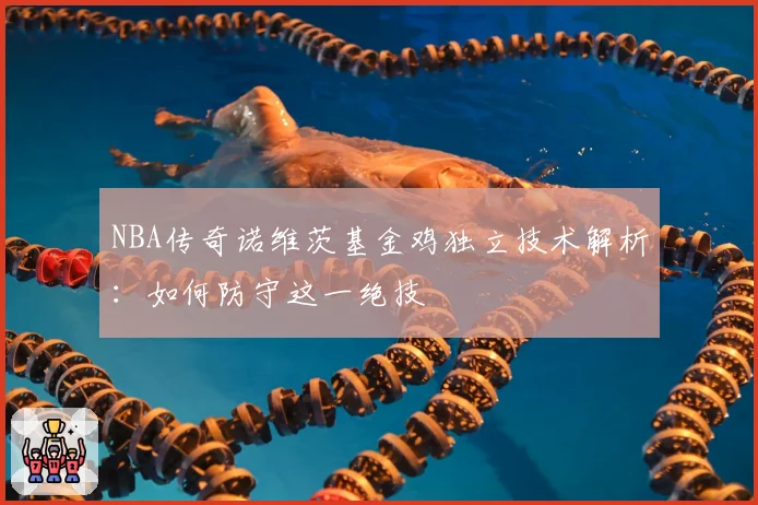 NBA传奇诺维茨基金鸡独立技术解析:如何防守这一绝技